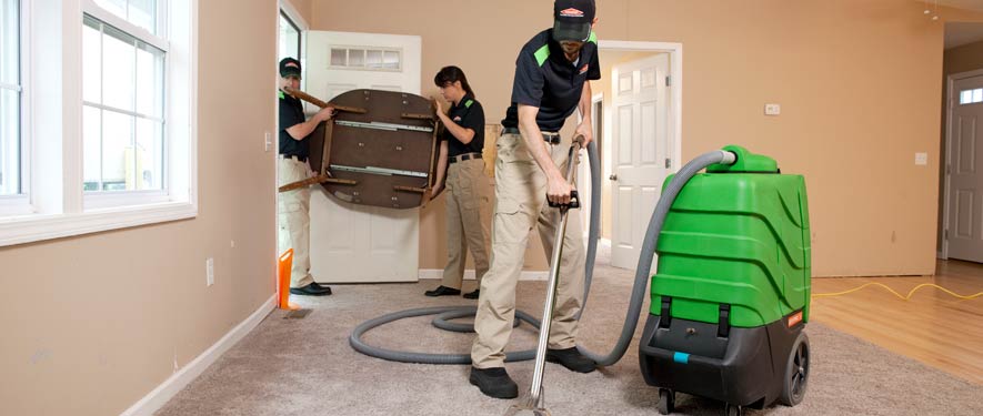 Three Rivers, MI residential restoration cleaning